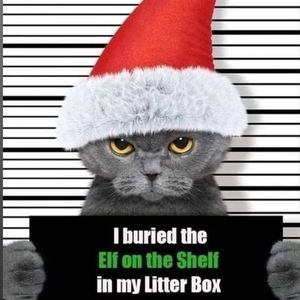 Meet your Posher, Debi